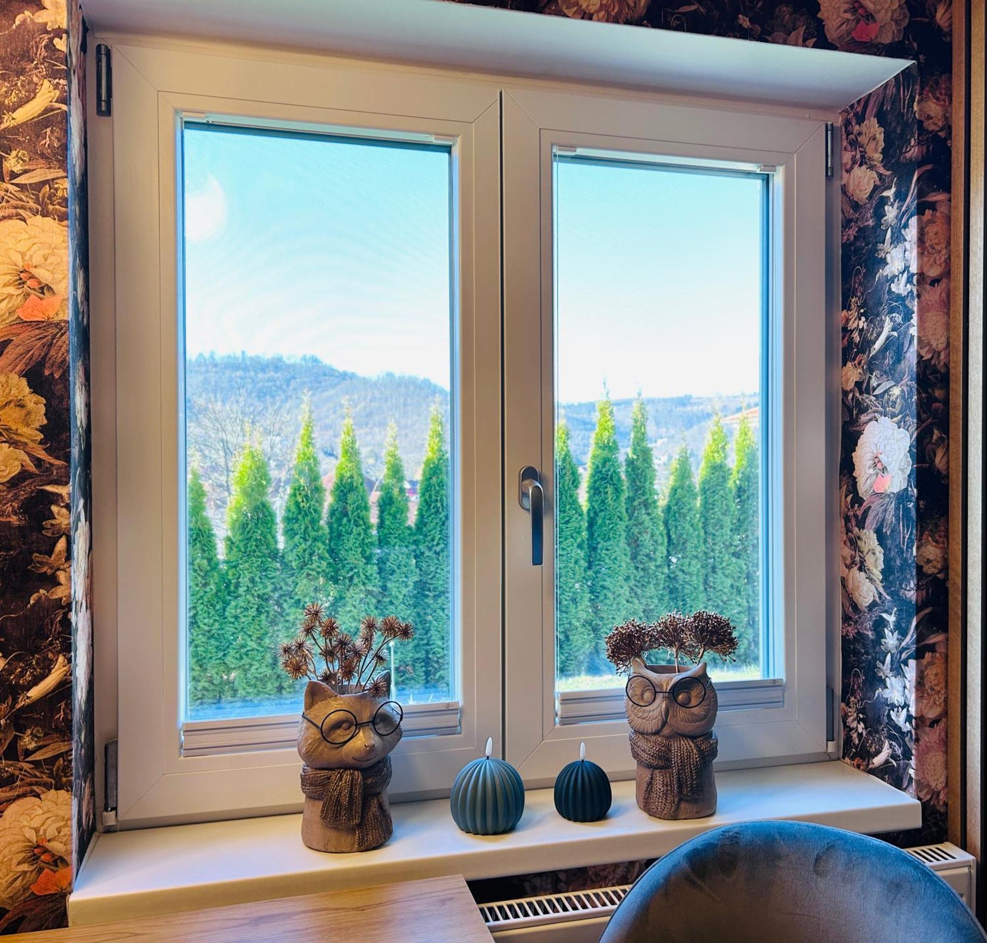 Wohnung Goethe'S Bergblick 巴特哈尔茨堡 外观 照片